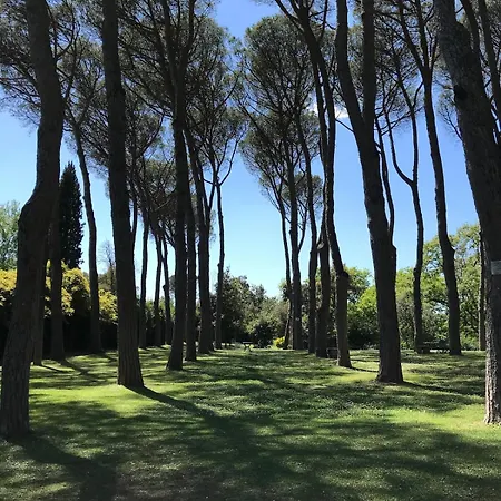 Spacious And Bright Flat In