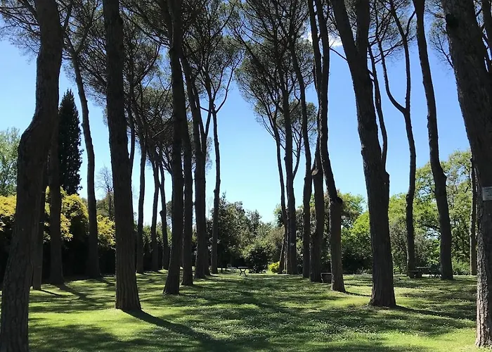 Spacious And Bright Flat In