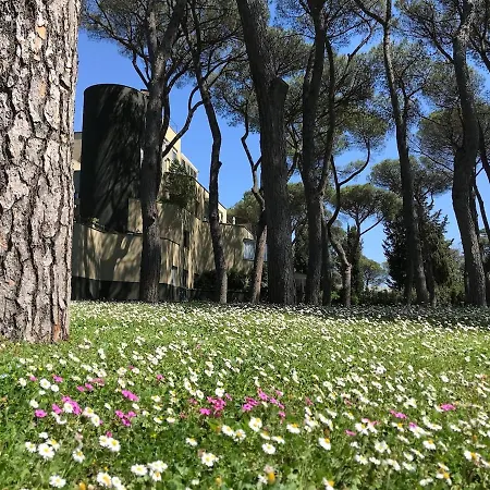 Spacious And Bright Flat In Rom